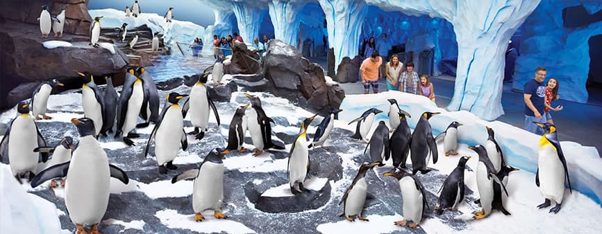 SeaWorld Orlando