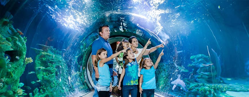 SEALIFE Minnesota