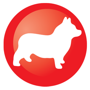 CORGI