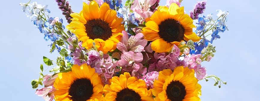 Bloom & Wild