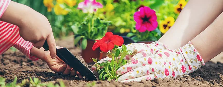 You Garden