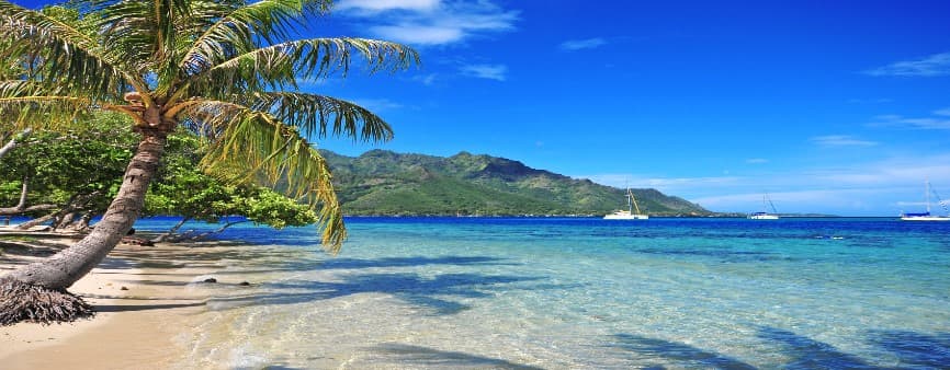 InsureMore Travel Insurance