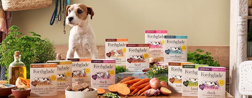 Forthglade