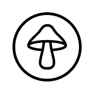 DIRTEA